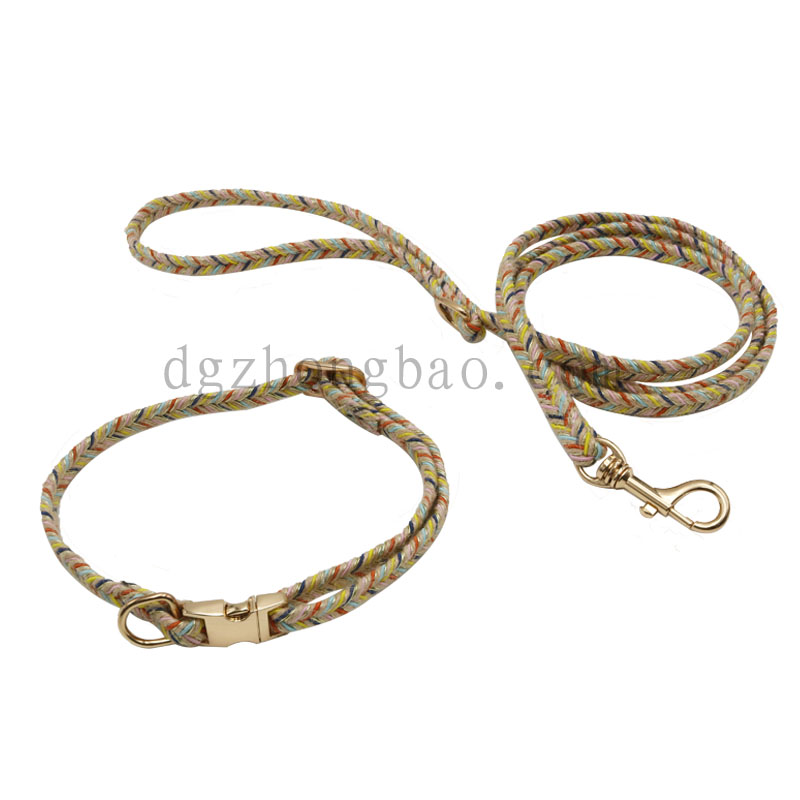 Cổ áo thú cưng đầy màu sắc