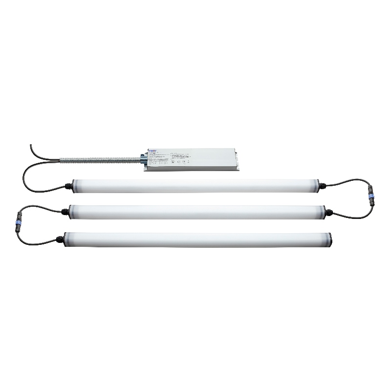 TÔI thiếu ĐẦU