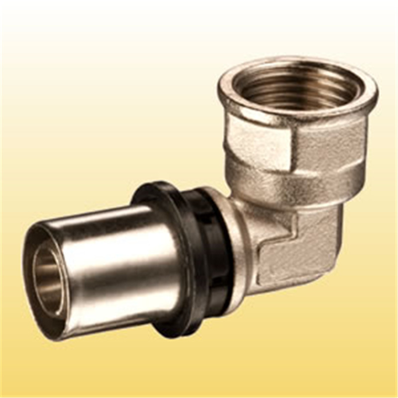 ống tế bào thép gai