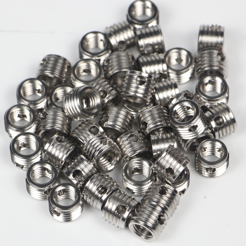 308 000 060.500 308 M6 * 1 * 10 * 1.25 * 12L chèn tự khai thác với 3 lỗ không có cổ phiếu 500K