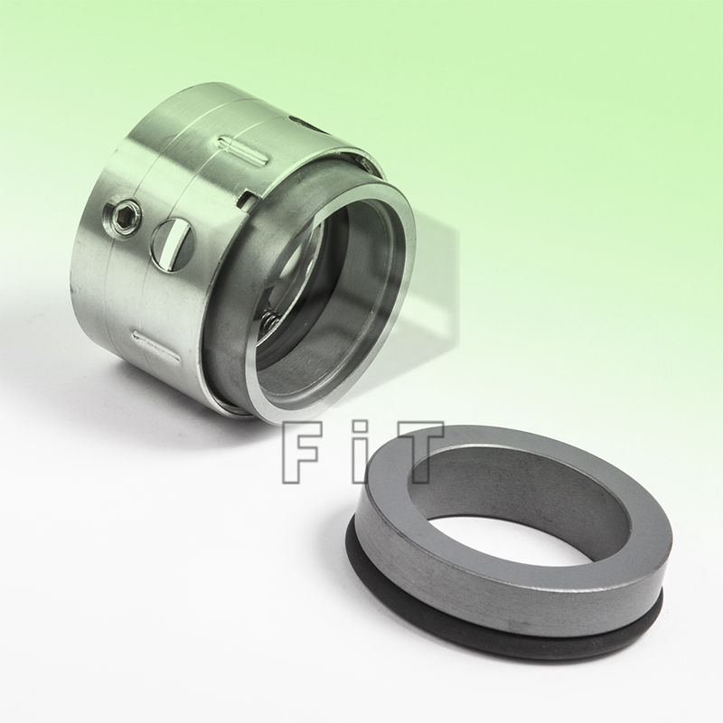 nhiều hải cẩu rộng