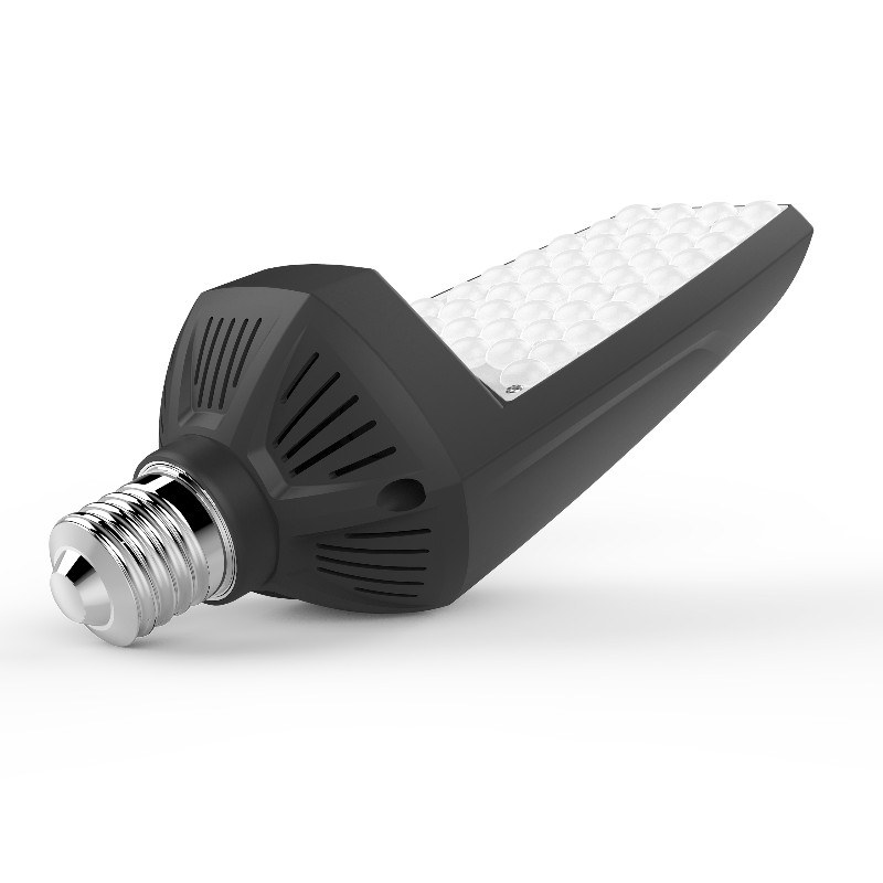 XôW Tái thiết giáp Bulb