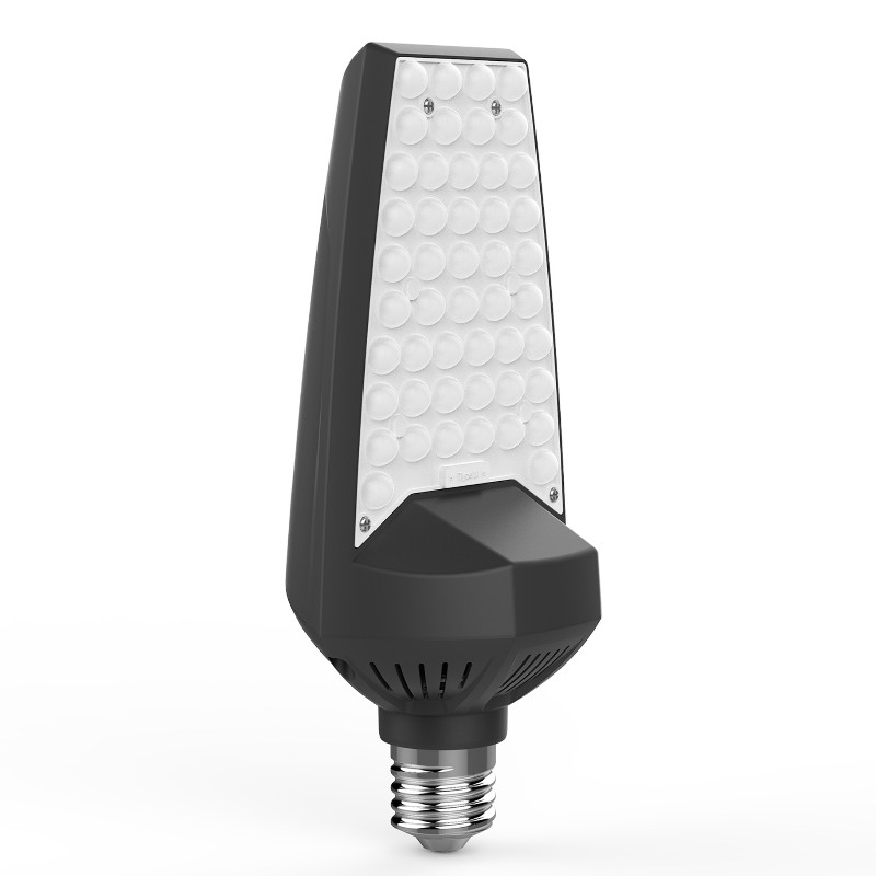 XôW Tái thiết giáp Bulb