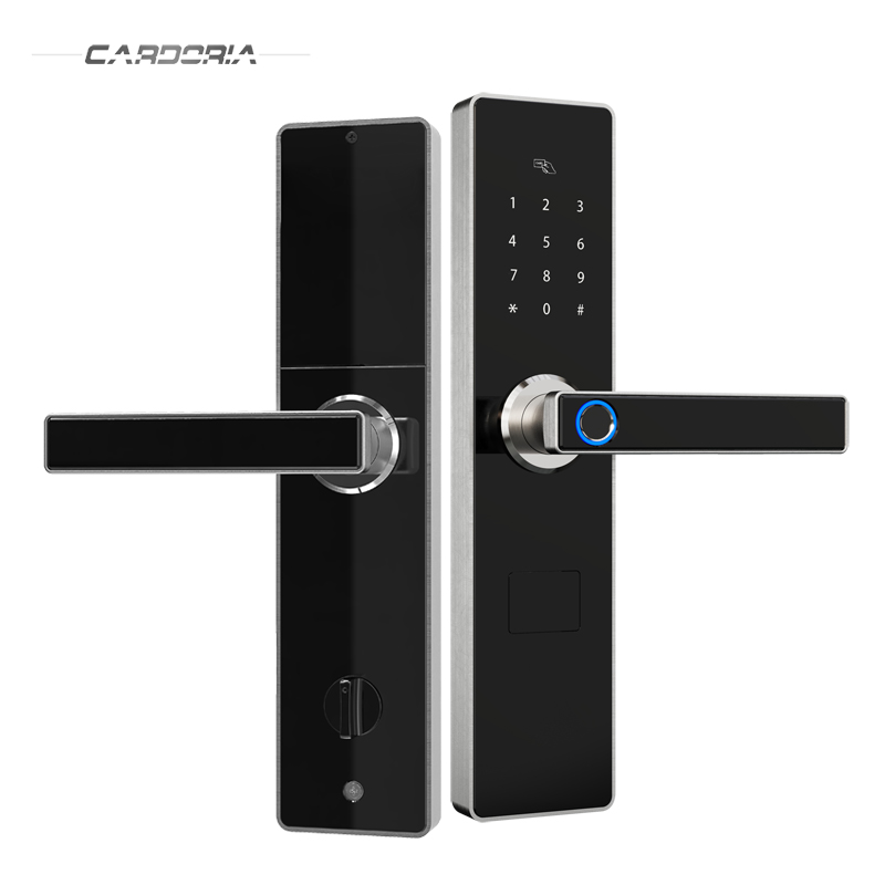 Bán buôn khóa vân tay APP Cửa thông minh có khóa wifi từ xa và Mở khóa truy vấn bản ghi