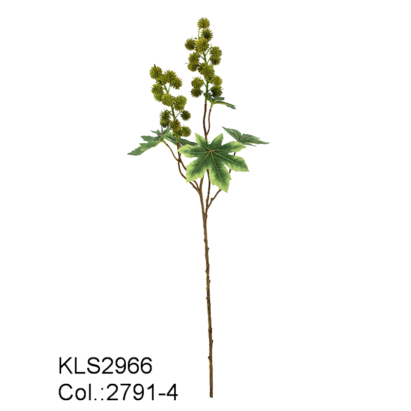 Xịt Ricinus 67cm \\/ 35 đầu
