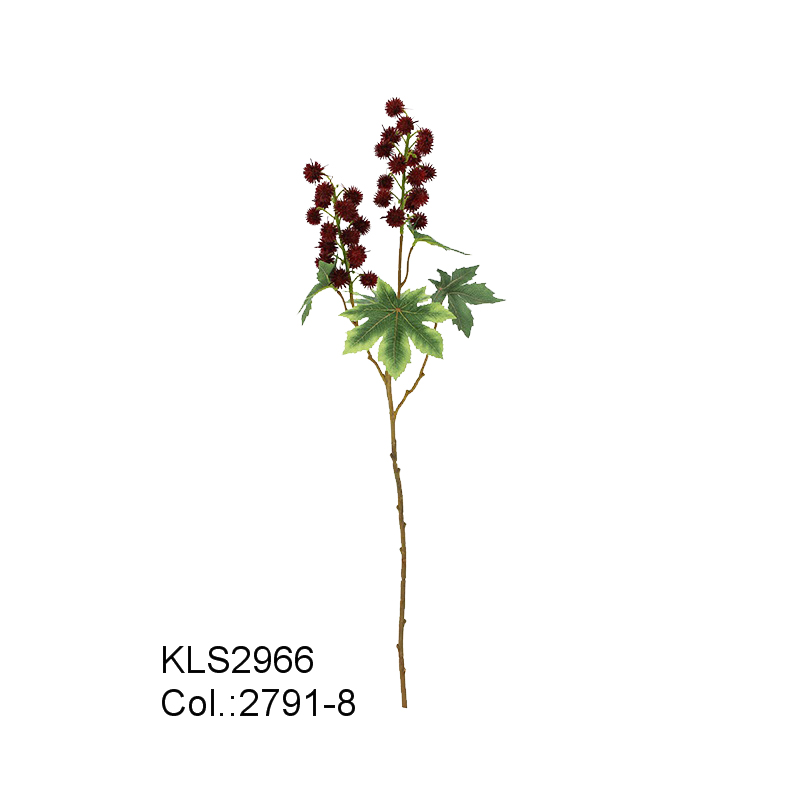Xịt Ricinus 67cm \\/ 35 đầu