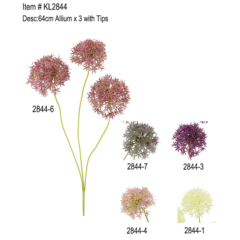 64cm Allium x 3 with Tips