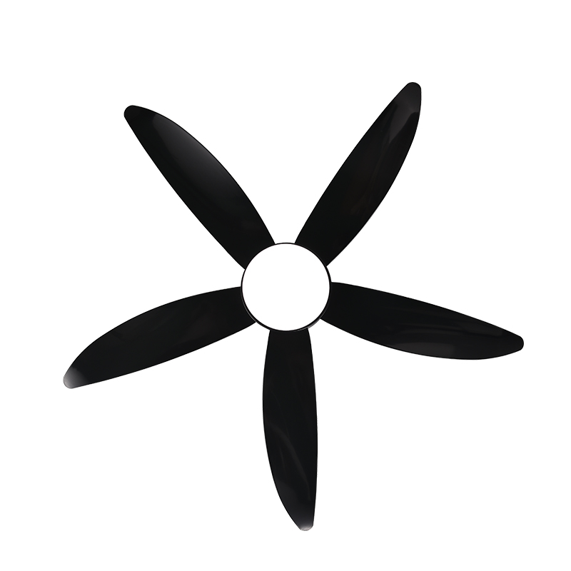 56 Tham chiếu DC Máy tạo ảnh màu sơn mới với đèn phụ dẫn từ xa Điều khiển từ xa