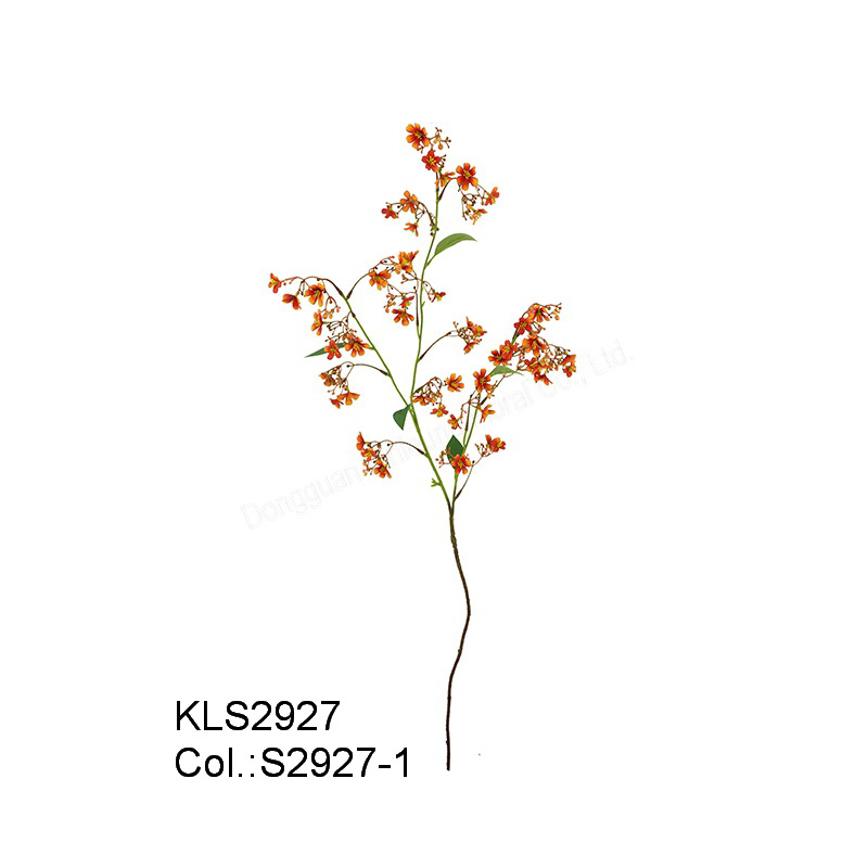 108cm Daphne- dàn x3