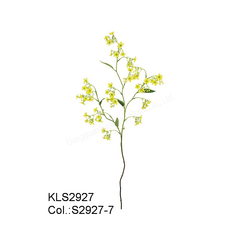 108cm Daphne- dàn x3