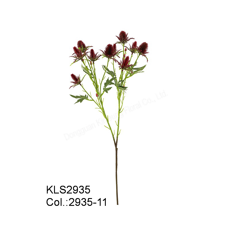 ♪ ra biển Holly Phun x 10