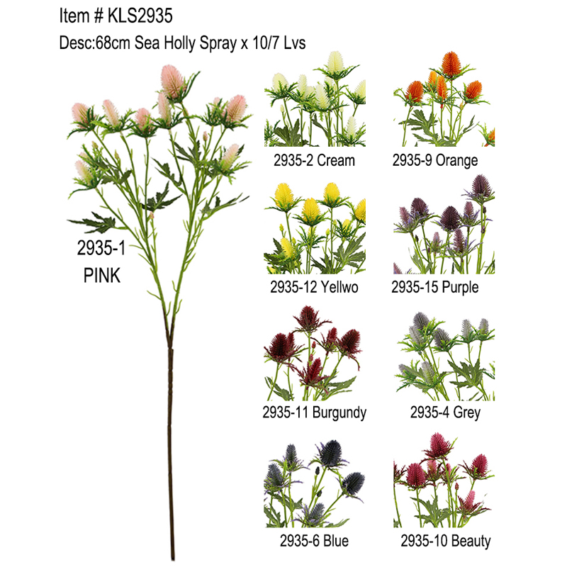 ♪ ra biển Holly Phun x 10