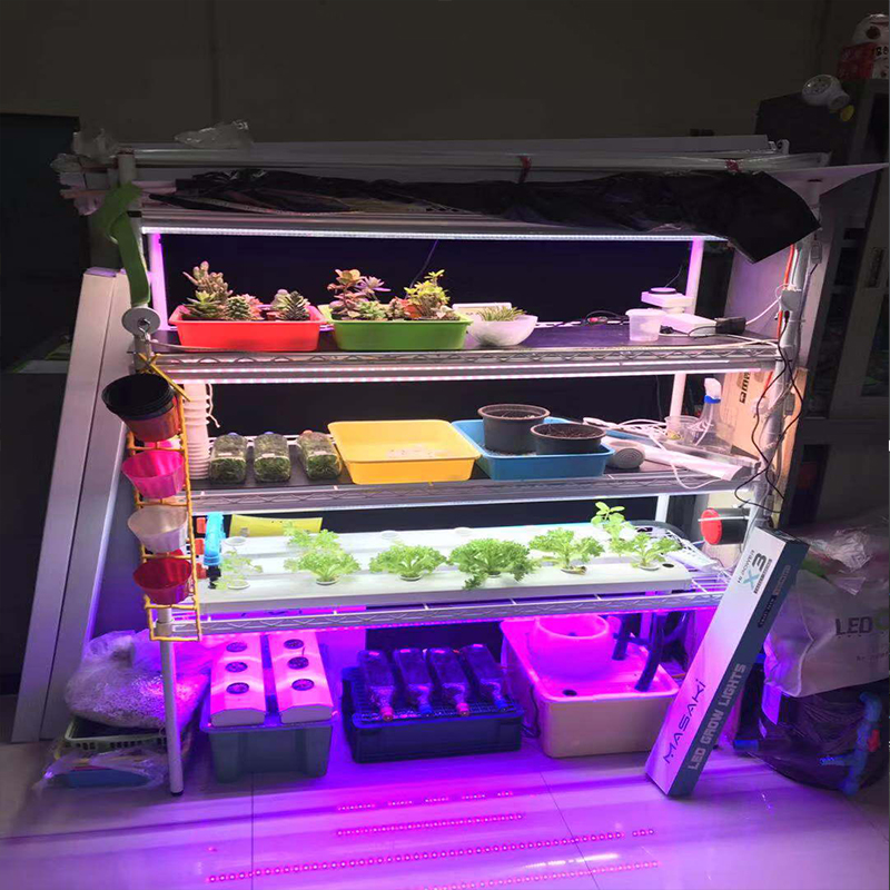 Đèn phát triển kế hoạch G1