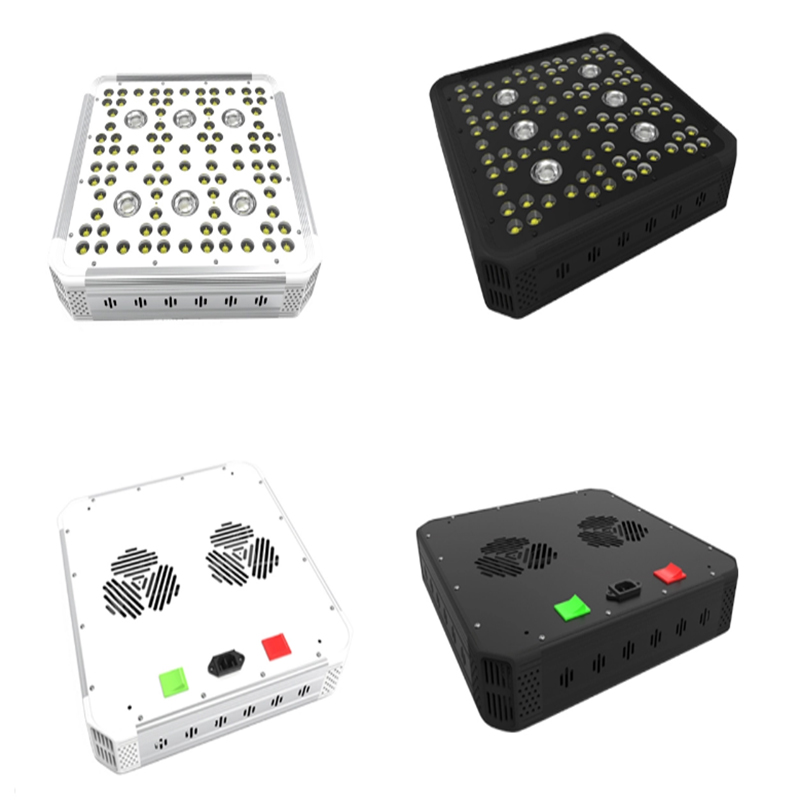 Đèn phát triển kế hoạch G1