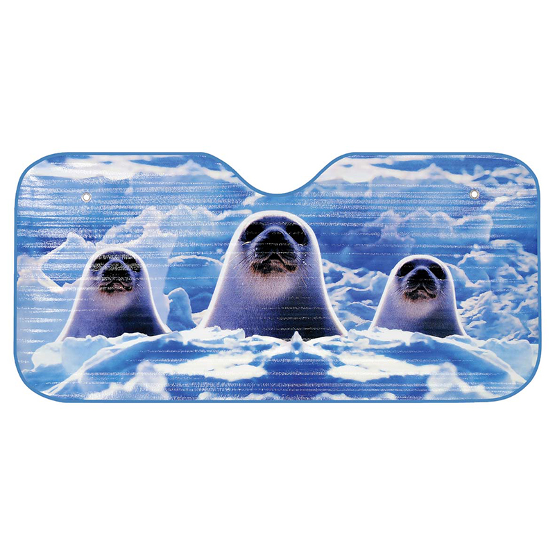 che nắng phía trước xe