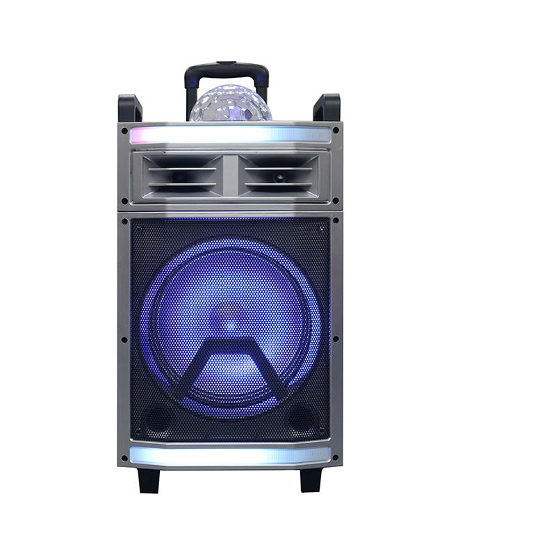 Loa Trollry Y-B22-12H