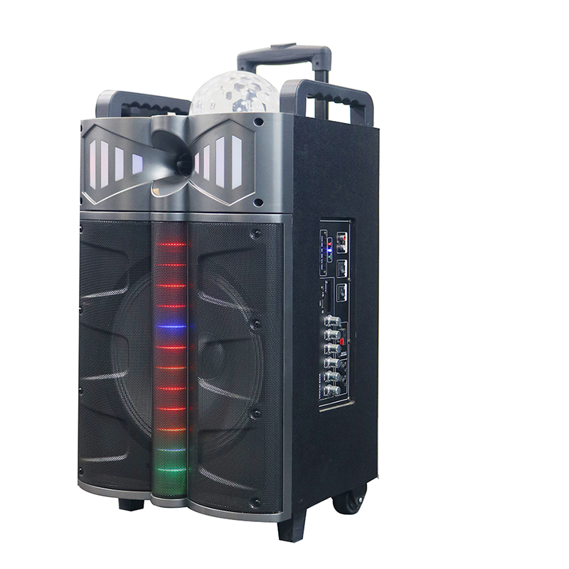 Loa Trollry Y-DJ1201-12H