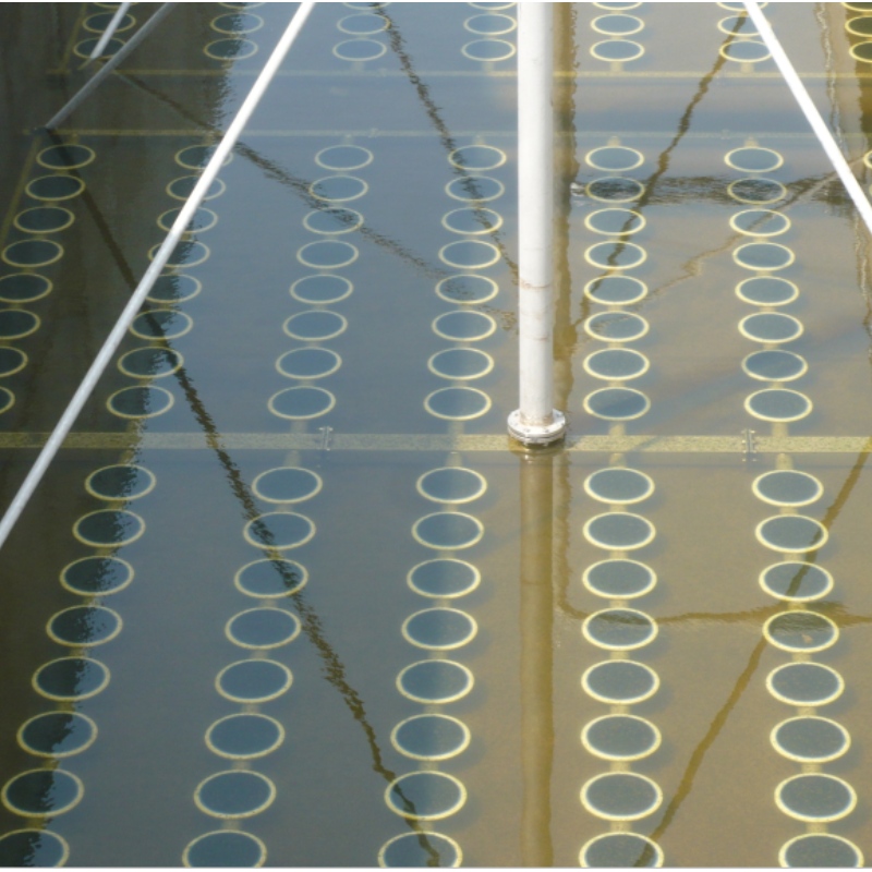 khuếch tán đĩa bong bóng tốt