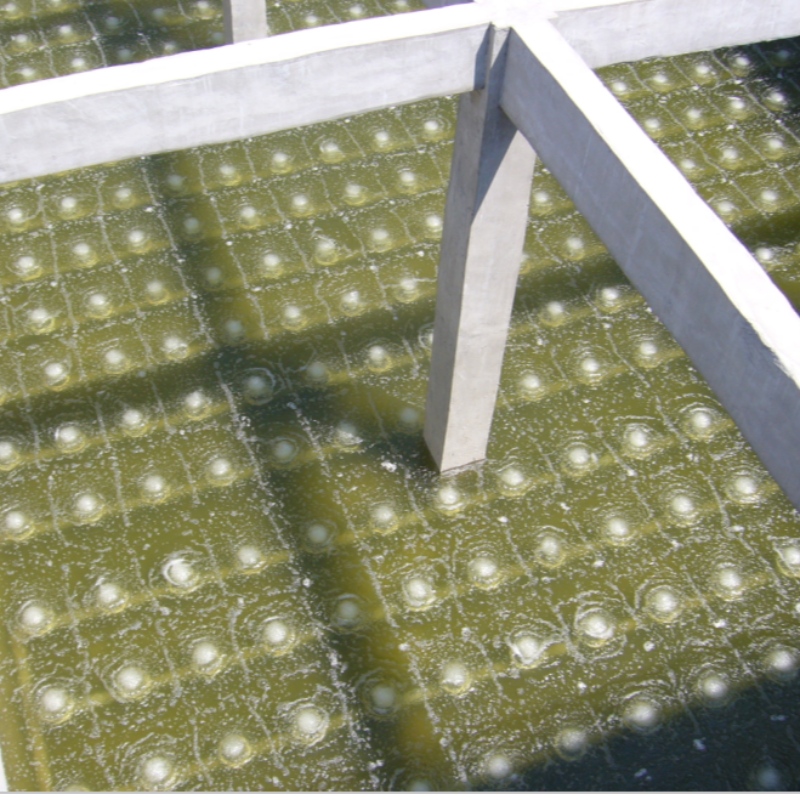 khuếch tán đĩa bong bóng tốt