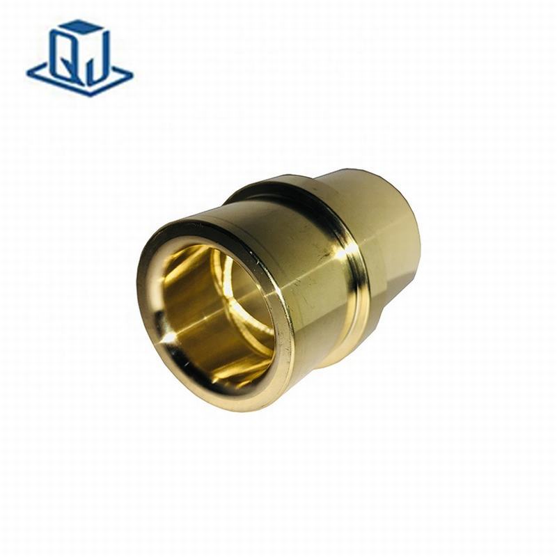 có bụi dẫn đường