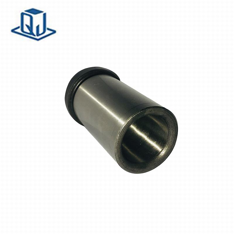 bụi dẫn đường