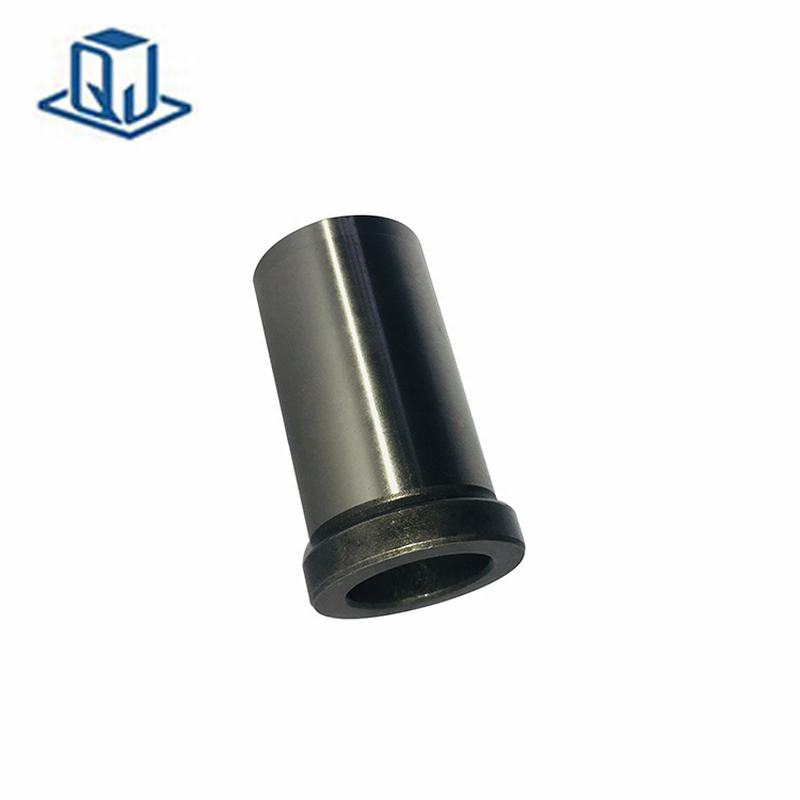 bụi dẫn đường