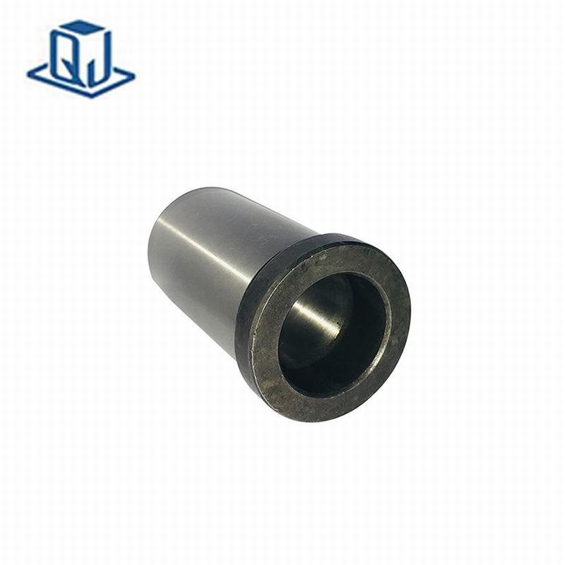 bụi dẫn đường