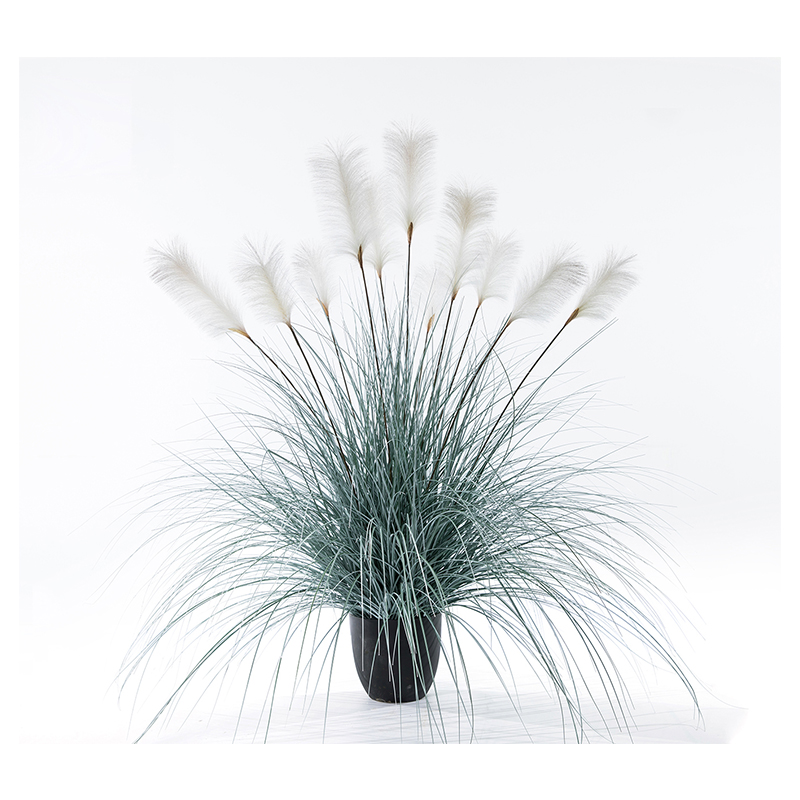 OH1092000127/ OH1092000128