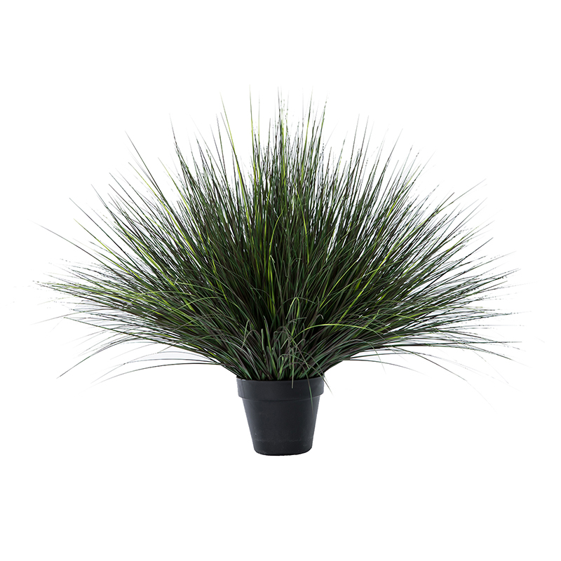 OH109200024/ OH1092000125/ OH1092000126