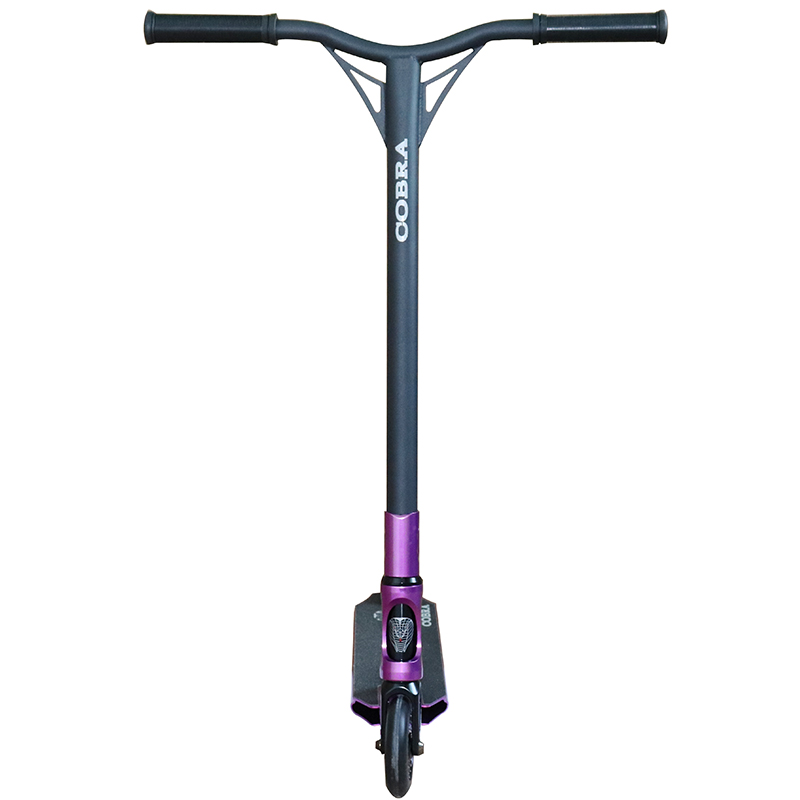 Cá nhân cá mập chuẩn