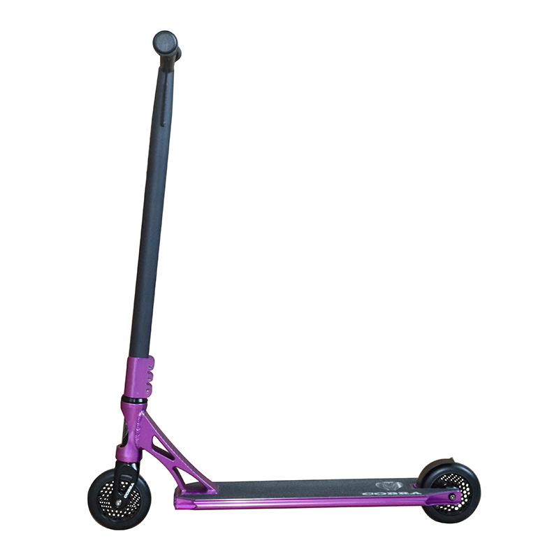 Cá nhân cá mập chuẩn