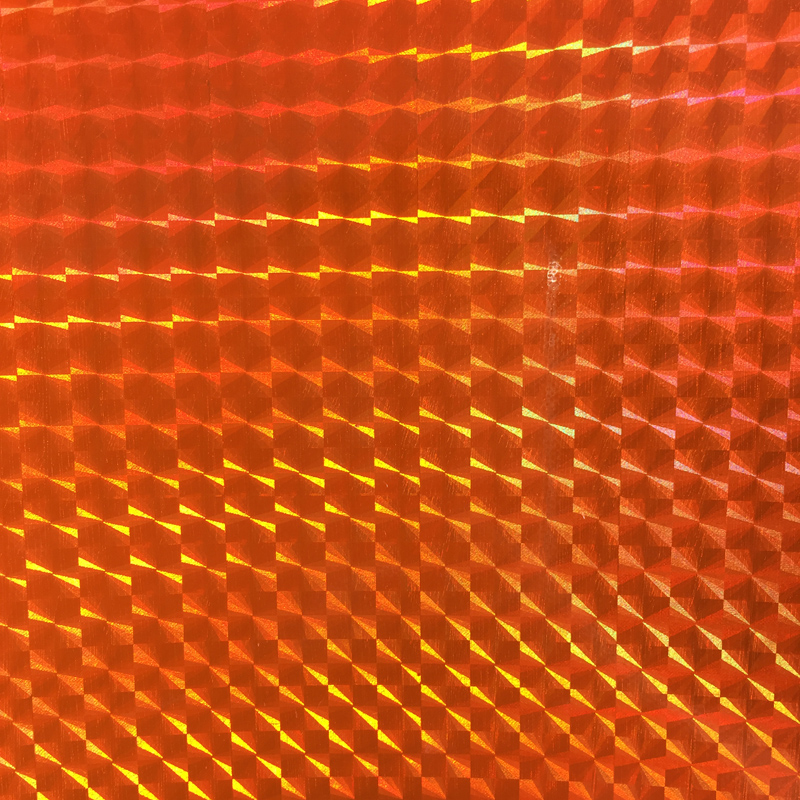 Da máy ảnh động