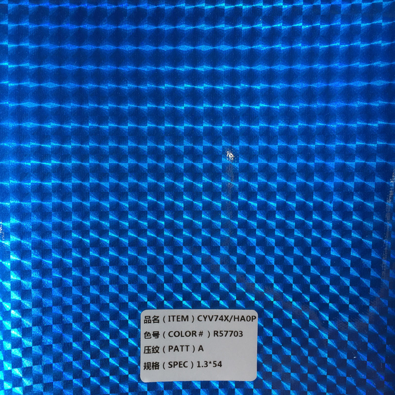 Da máy ảnh động