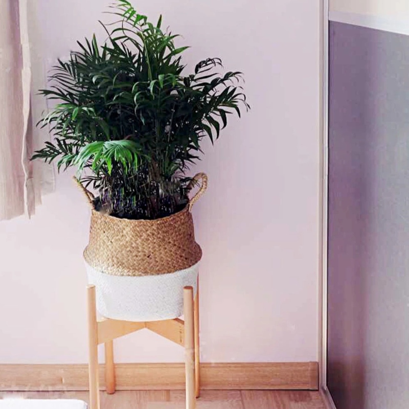 Trang trí nhà chậu hoa đứng hình bầu dục treo giỏ cỏ biển