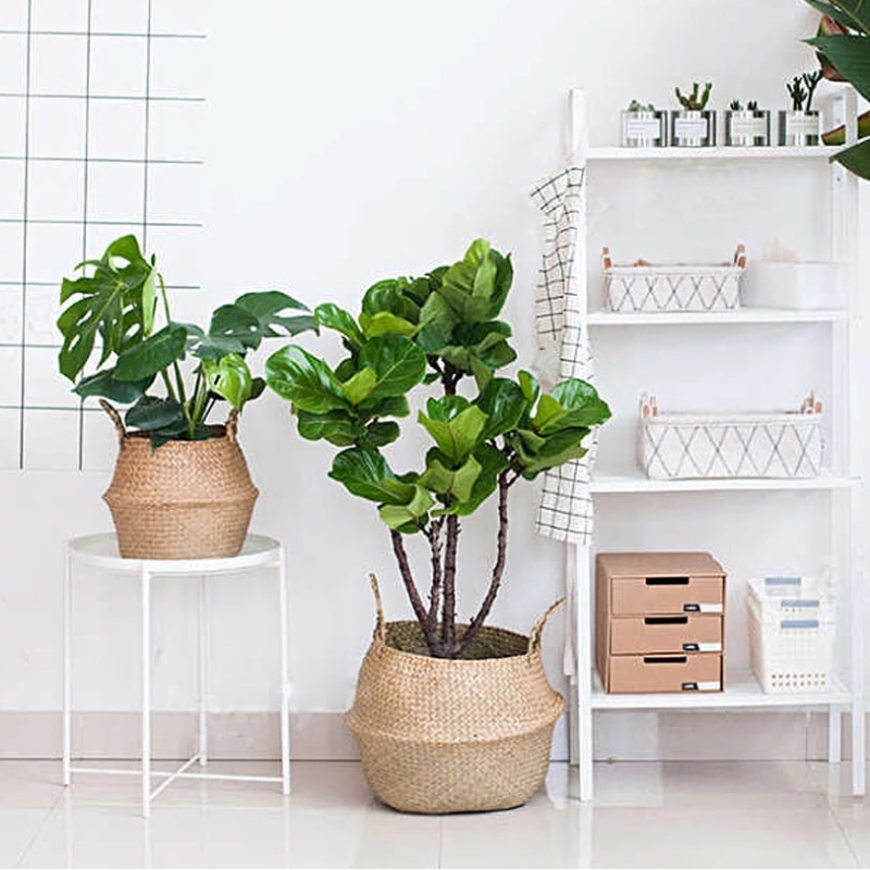 Cây đứng dệt giỏ cỏ biển để lưu trữ treo giỏ cỏ biển