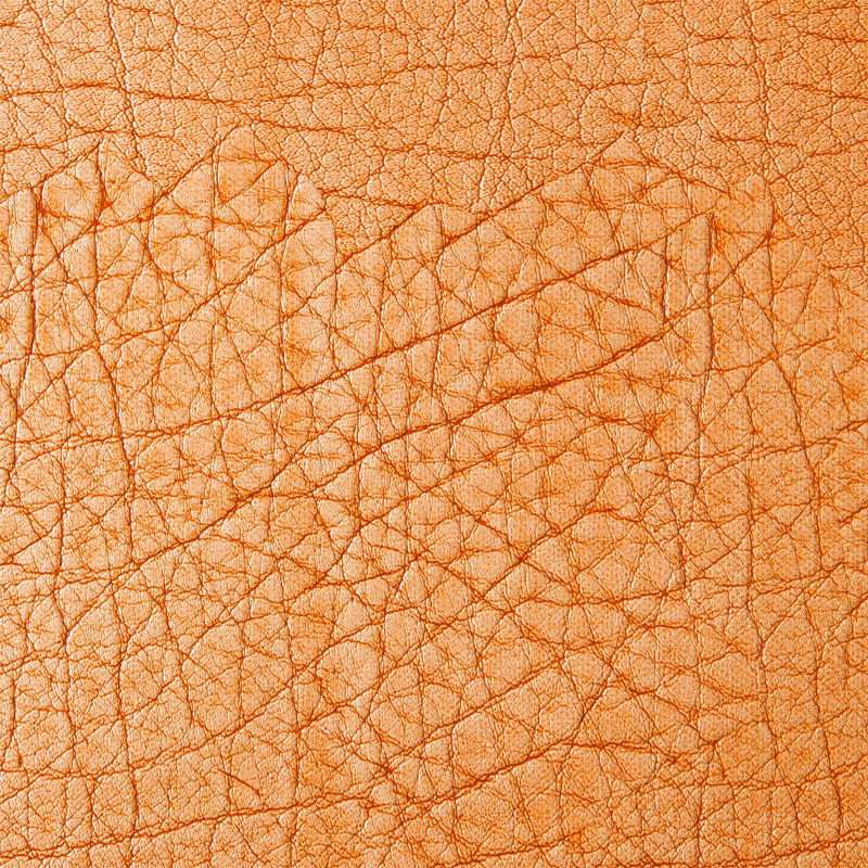 Giấy bọc ghế thường Name