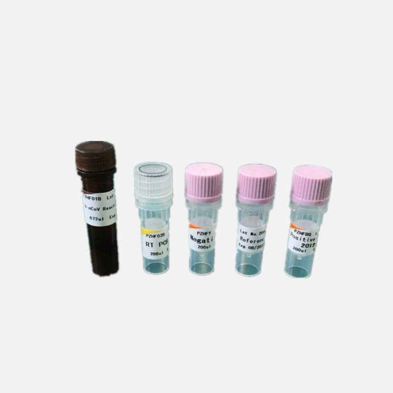 Bộ phát hiện PCR