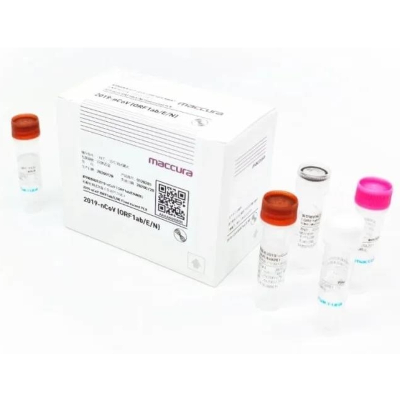 Bộ PCR huỳnh quang SARS-CoV-2