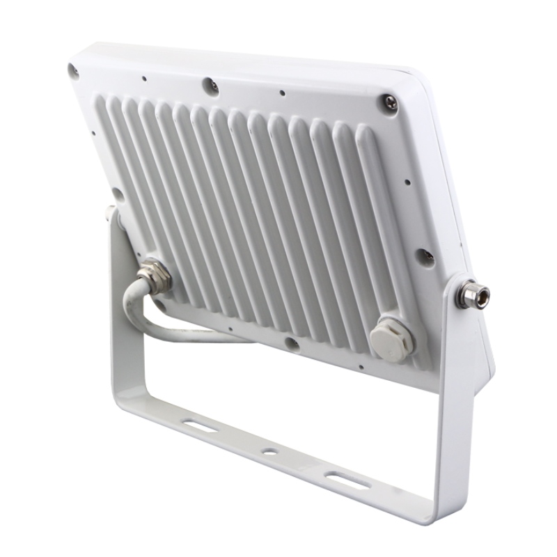 Dự án Ánh sáng hồng LED 20W 30W 50W 100W 150W 200W