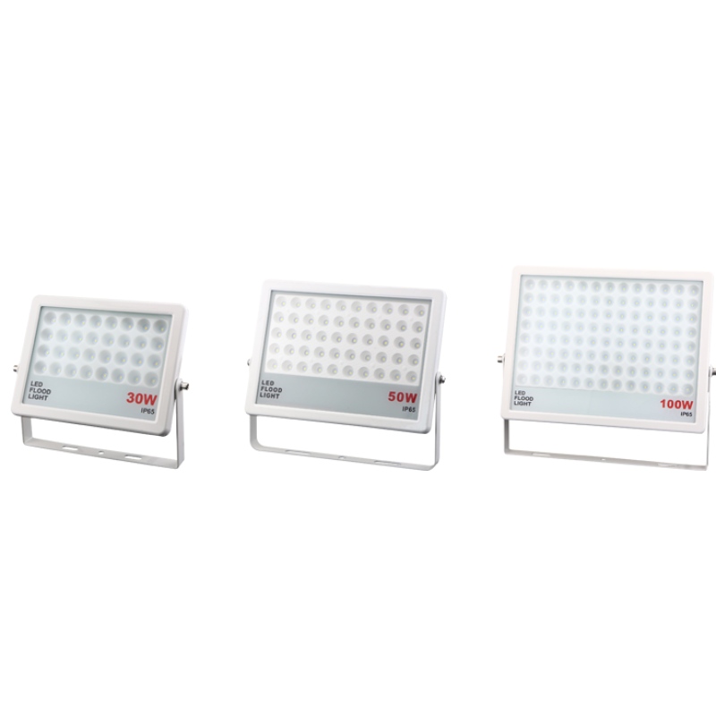 Dự án Ánh sáng hồng LED 20W 30W 50W 100W 150W 200W