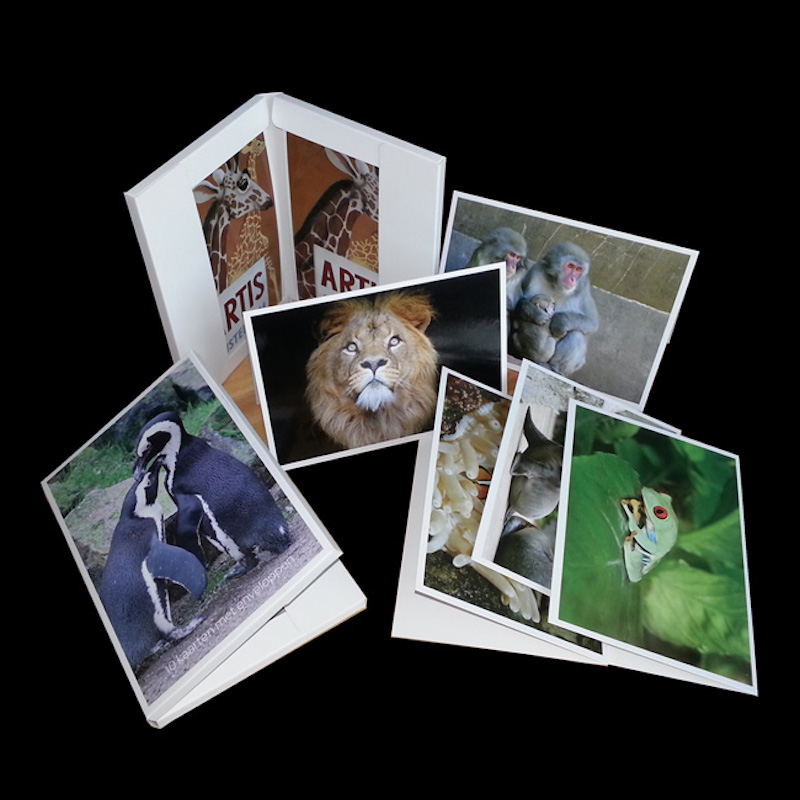 Lá bài mừng cho mọi phụ nữ, giấy, với các phong bì.Lưu niệm người du hành