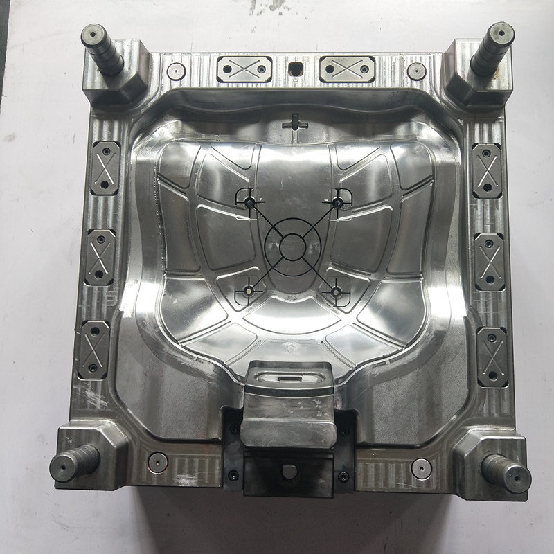 nấm dưới gốc phân