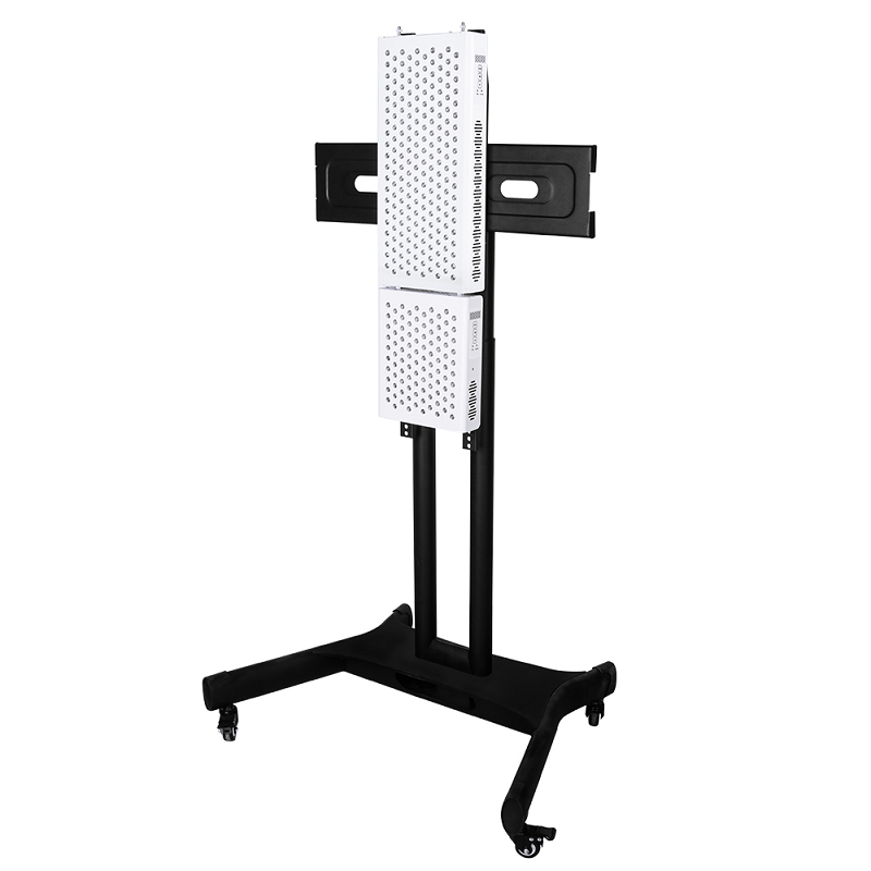 Trình độ chuẩn chuẩn chuẩn chuẩn chuẩn chuẩn chuẩn bị xuất phát từ Trung Quốc