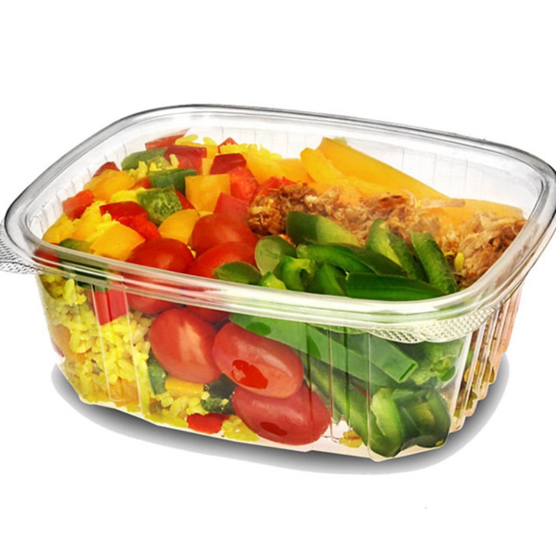 SALAD CONTAINER