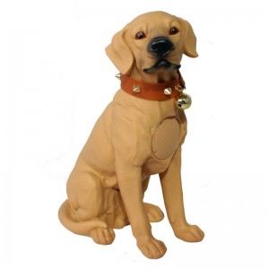 Chủ tịch Y-M21-H.