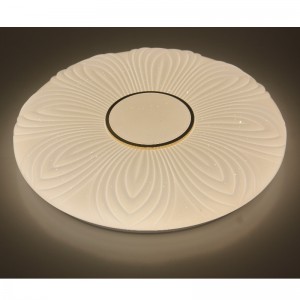 Đèn trần CX204