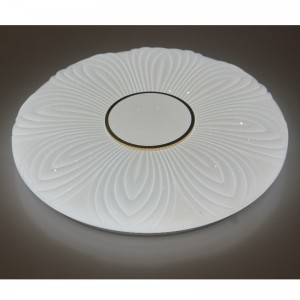 Đèn trần CX204