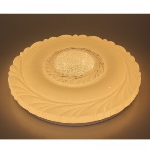 CX22 ceiling Light