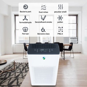 Bộ lọc kép (sự thanh lọc tích cực +thanh trừng thụ)