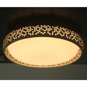 CX23ceiling Light